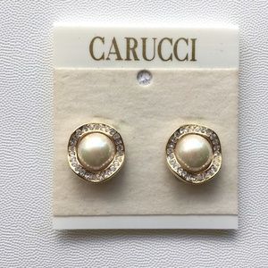 Carucci Earrings NWT